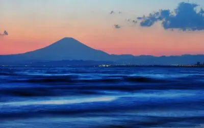 Firelight & Fermentation: A Chigasaki Beach Event for Wild Food Lovers