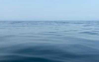 Why Japan Is the Perfect Place for Blue Ocean Strategy